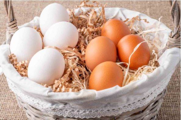 Beyaz mı kahverengi mi? Hangi yumurta daha sağlıklı? 27